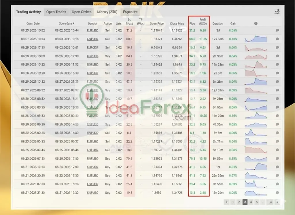 Đánh giá Bank Trader VIP